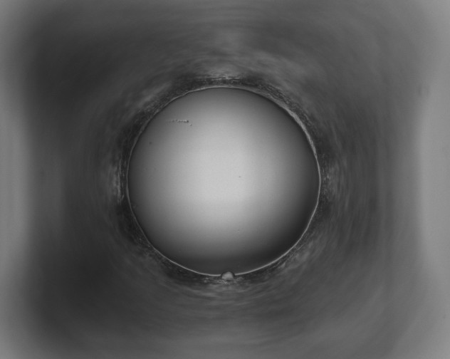 X0000101651205200807171246