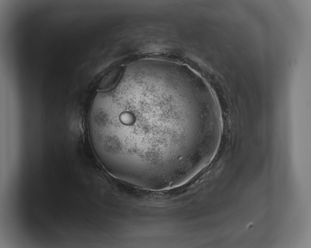 X0000101651206200807171246