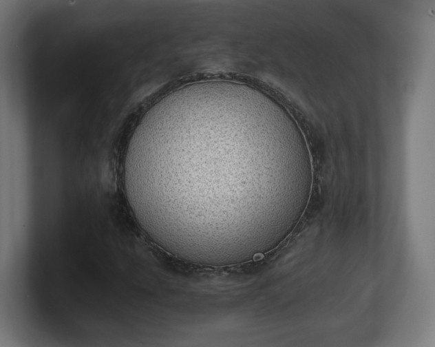 X0000101651207200807171246