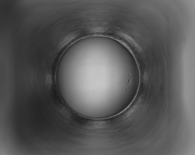 X0000101651209200807171246