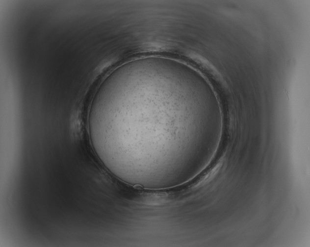 X0000101651210200807171246