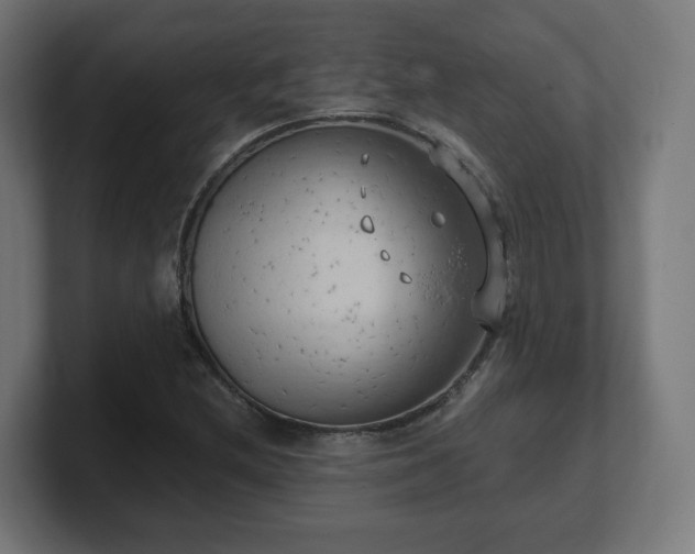 X0000101651212200807171246