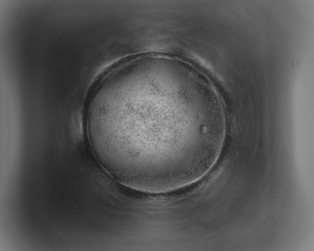 X0000101651214200807171246