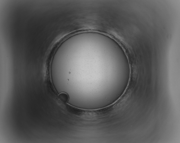 X0000101651215200807171246