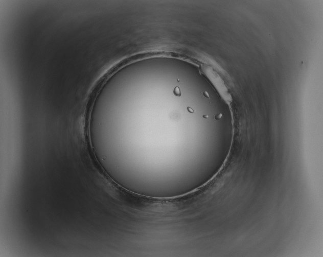 X0000101651216200807171246