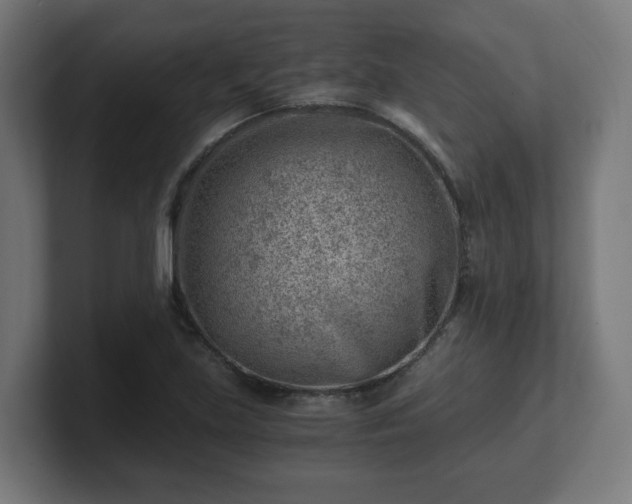 X0000101651219200807171246