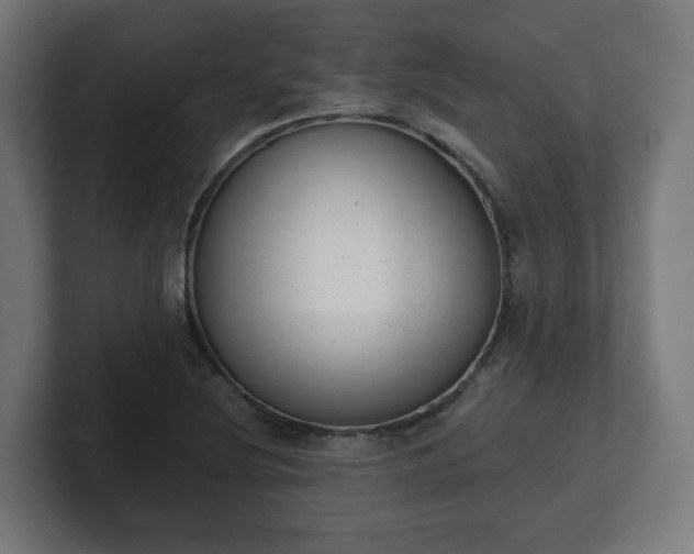 X0000101651220200807171246