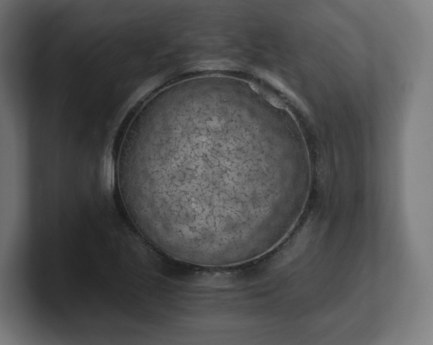 X0000101651221200807171246