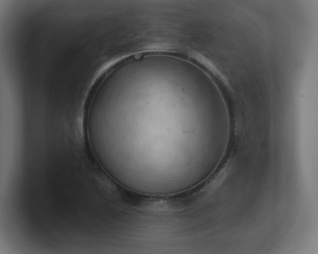 X0000101651222200807171246