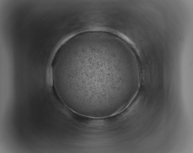 X0000101651223200807171246