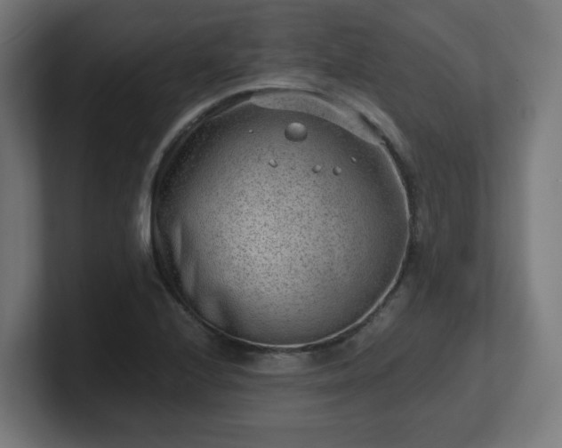 X0000101651224200807171246