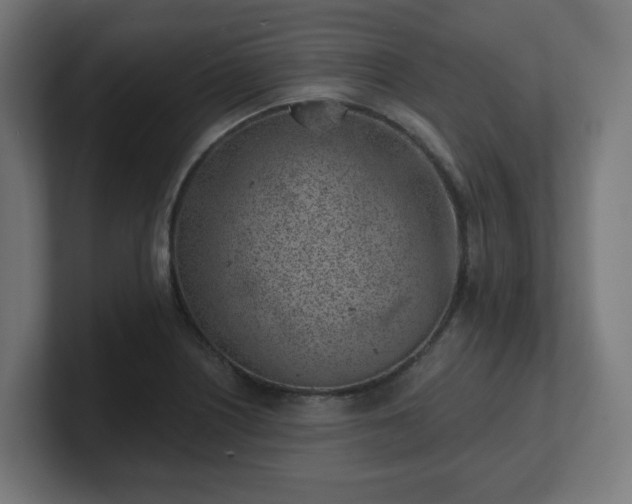 X0000101651226200807171246