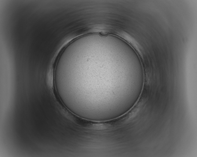 X0000101651227200807171246