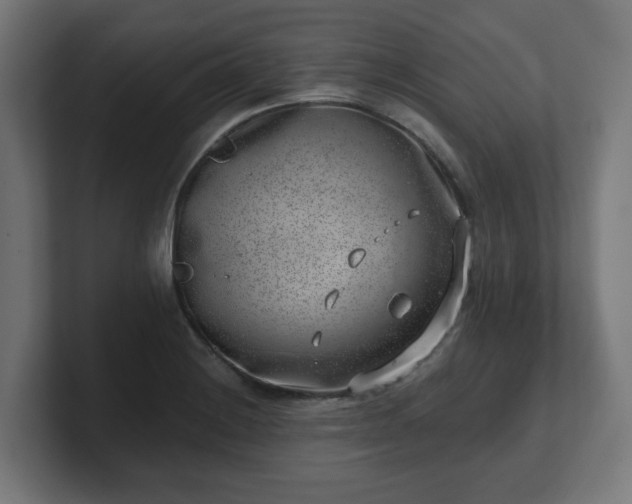 X0000101651228200807171246