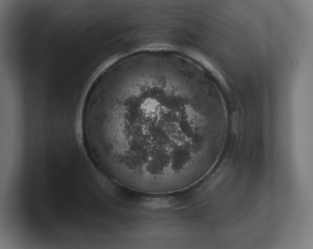 X0000101651229200807171246