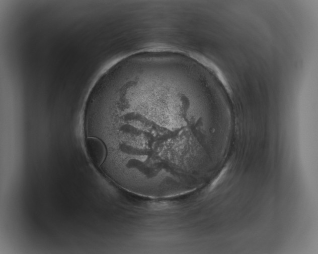 X0000101651231200807171246