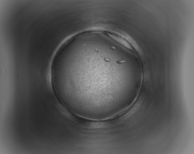 X0000101651232200807171246