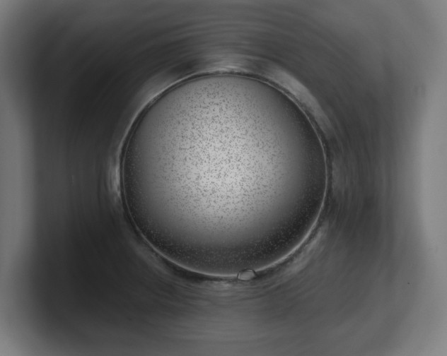 X0000101651234200807171246