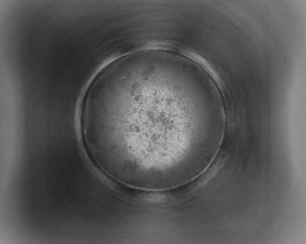 X0000101651235200807171246