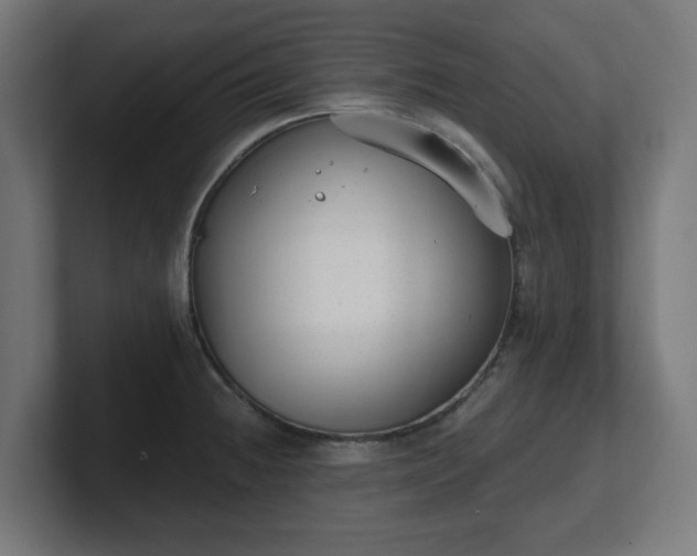 X0000101651236200807171246