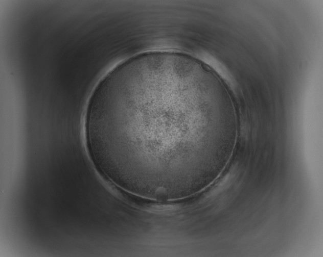 X0000101651237200807171246