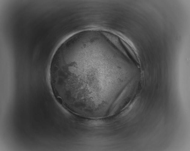 X0000101651239200807171246