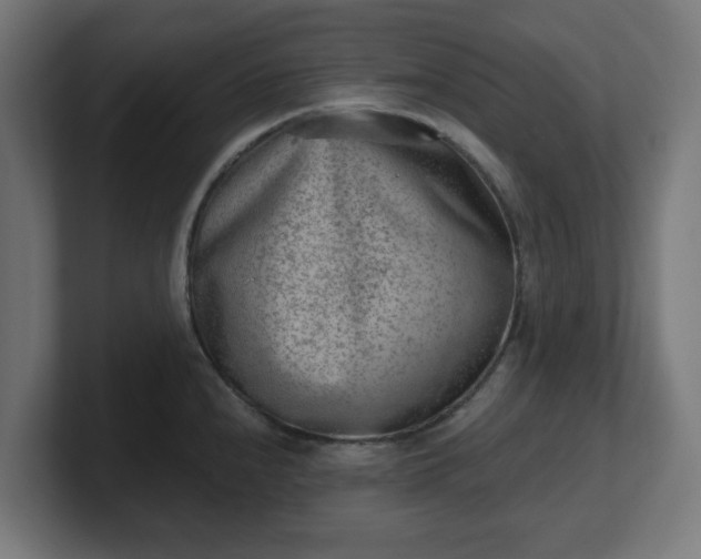 X0000101651240200807171246