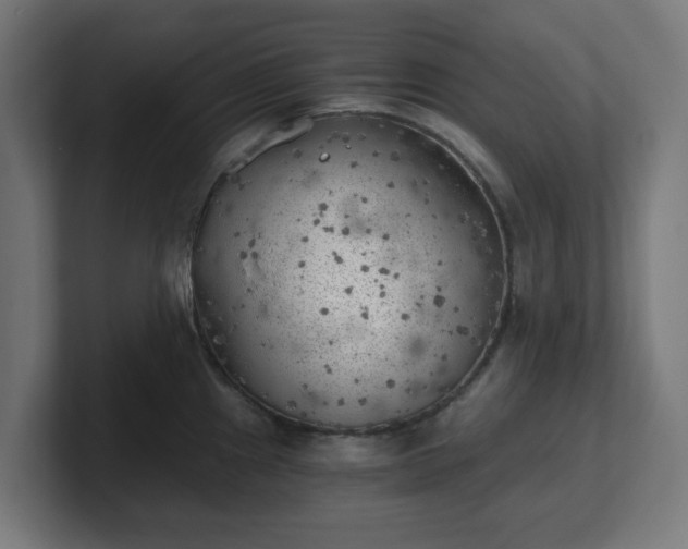 X0000101651241200807171246