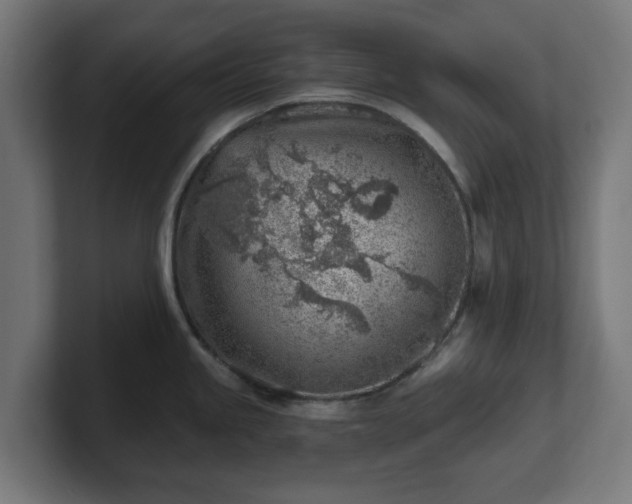 X0000101651245200807171246