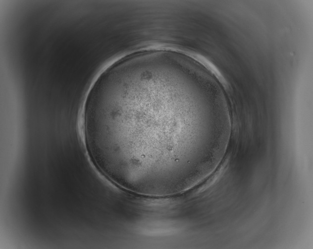 X0000101651247200807171246