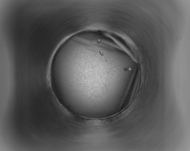 X0000101651248200807171246