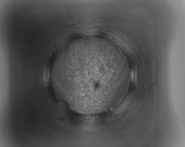 X0000101651251200807171246