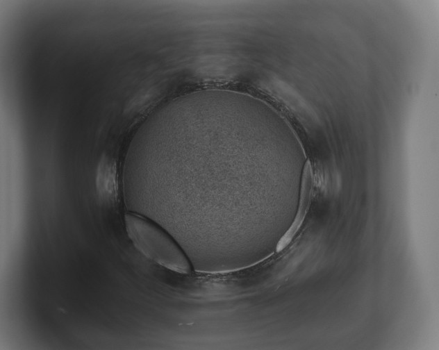 X0000101651252200807171246