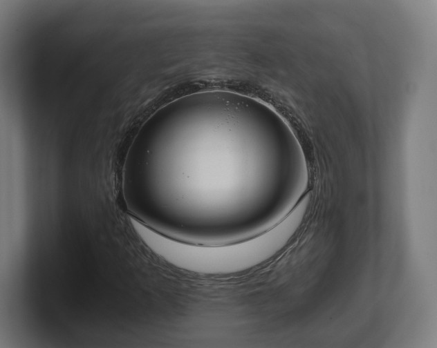 X0000101651253200807171246