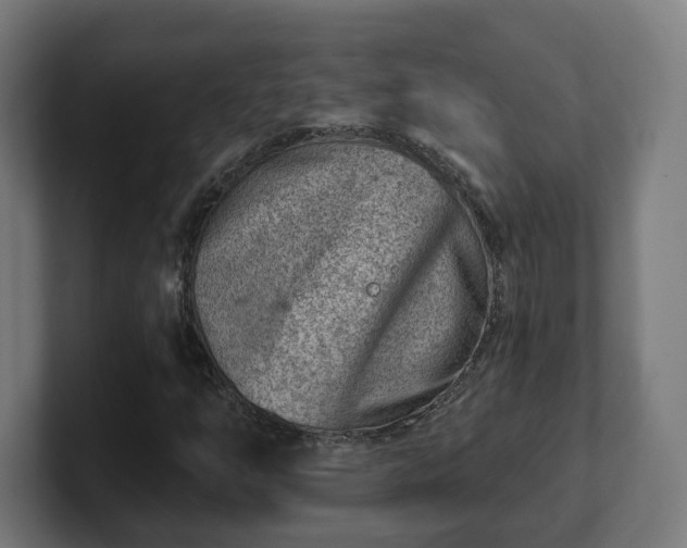 X0000101651254200807171246