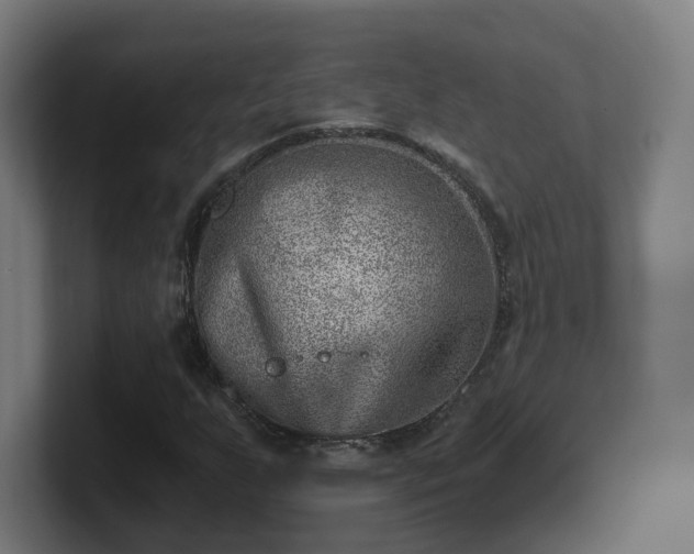 X0000101651255200807171246