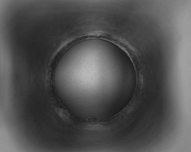 X0000101651256200807171246