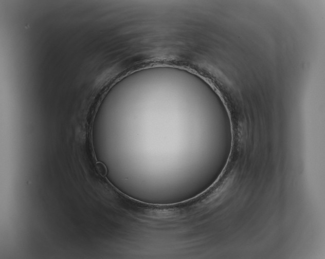 X0000101651257200807171246