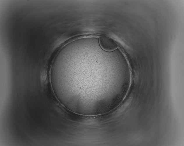 X0000101651259200807171246