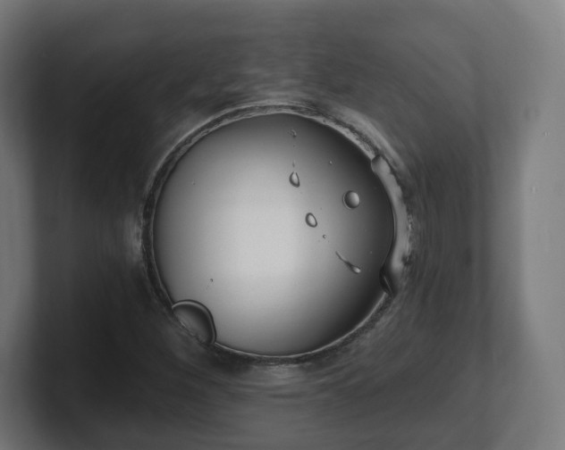 X0000101651260200807171246