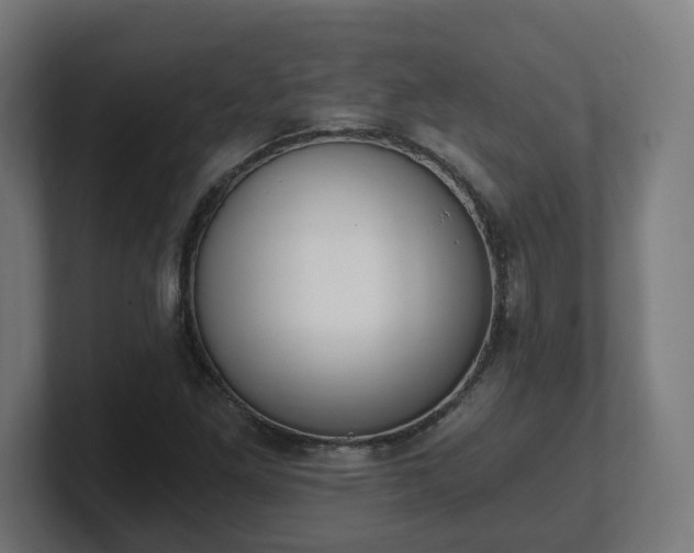 X0000101651261200807171246