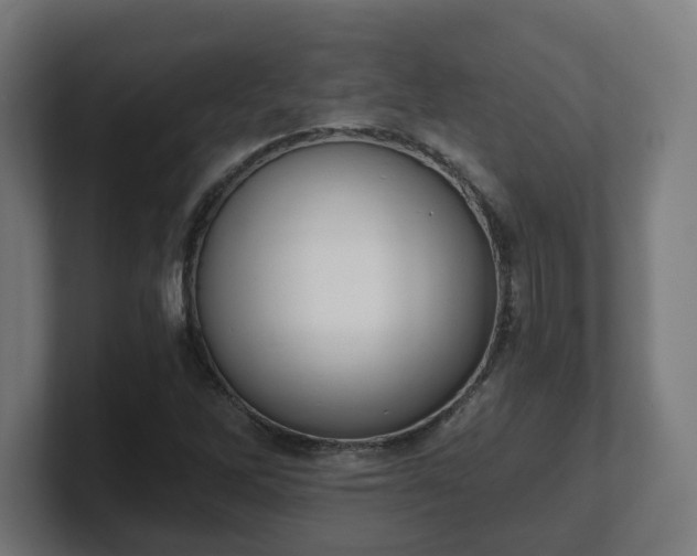 X0000101651262200807171246