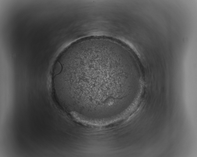 X0000101651263200807171246