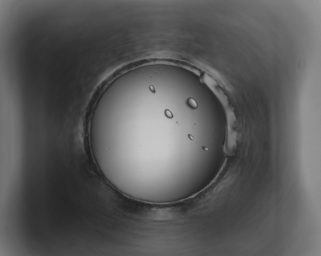 X0000101651264200807171246