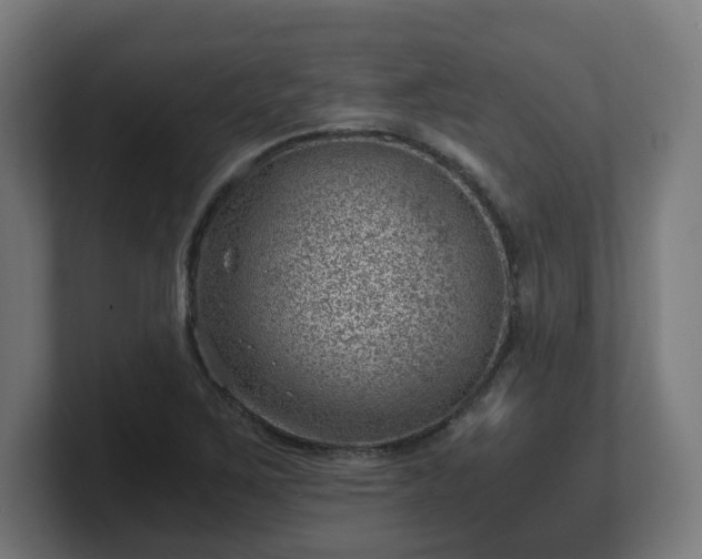 X0000101651267200807171246