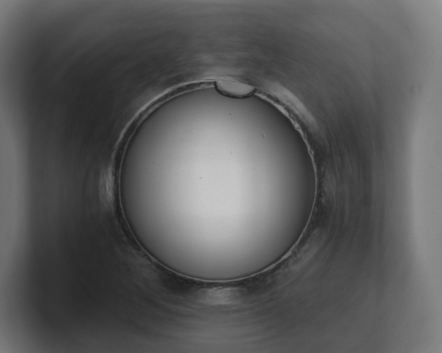 X0000101651268200807171246