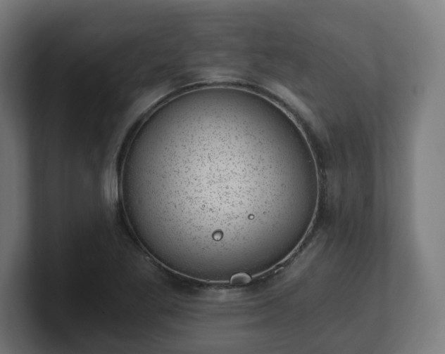 X0000101651269200807171245