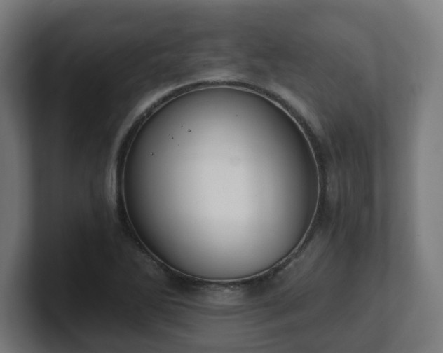 X0000101651270200807171245