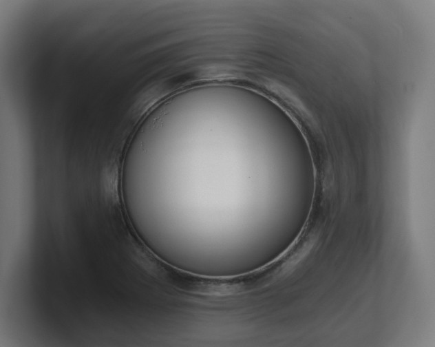 X0000101651273200807171245