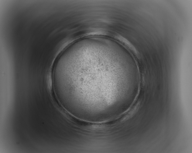 X0000101651274200807171245